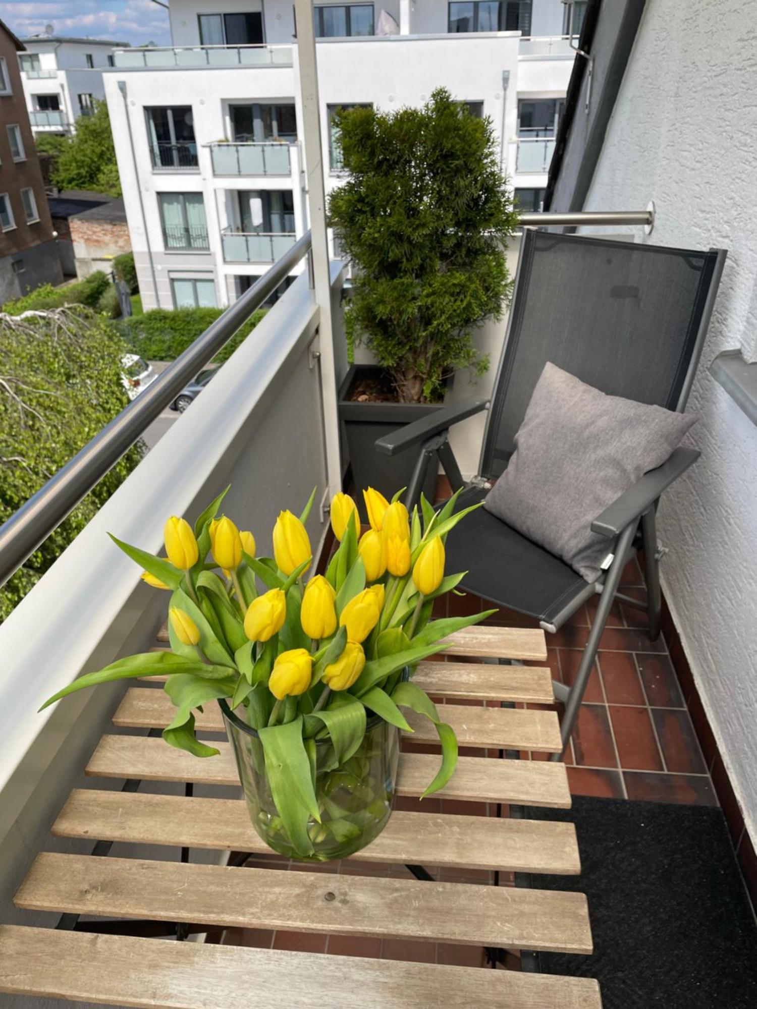 Hotel Kaup Paderborn Extérieur photo
